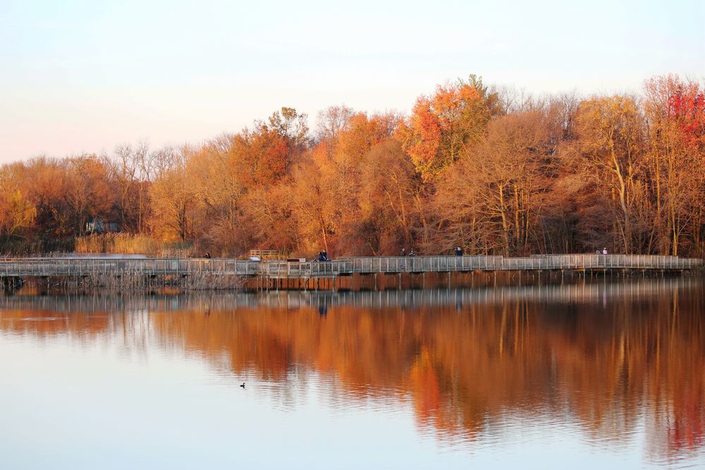 The waters of John Heinz National Wildlife Refuge