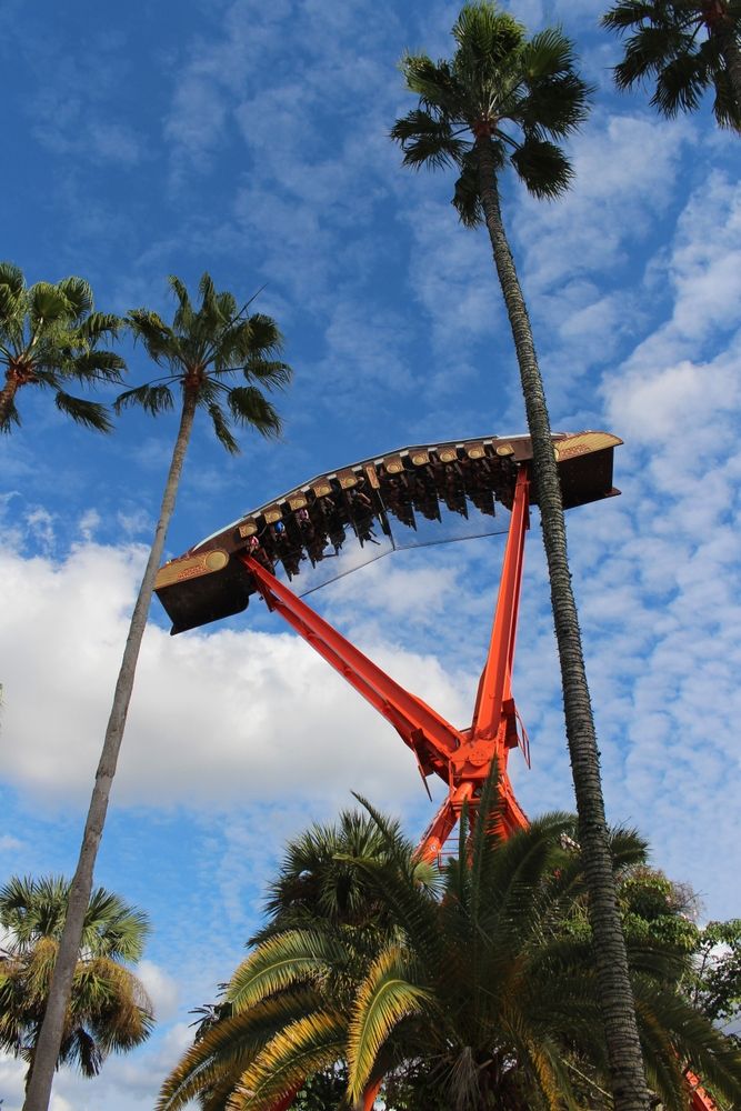 Thrilling ride at Busch Gardens Tampa Bay