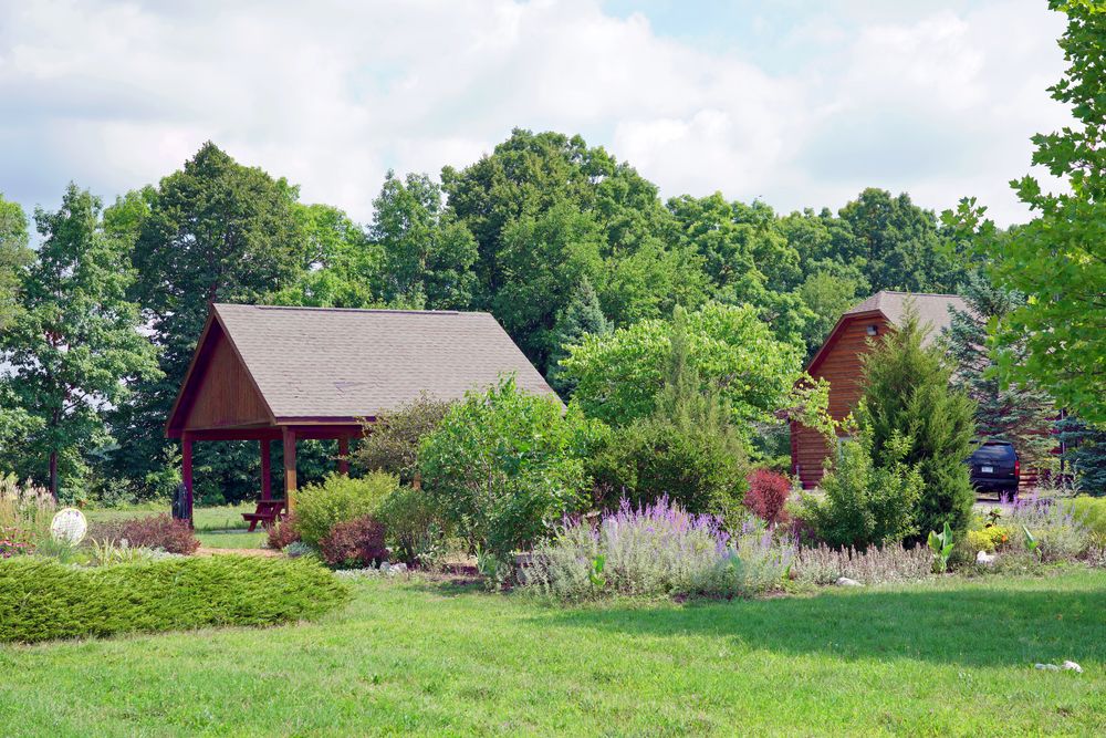 View of River Bends Park's flora