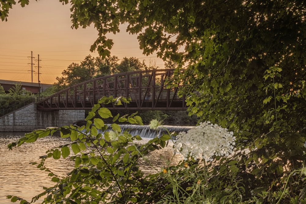 A bridge over the waters at Bellamy Harbor Park