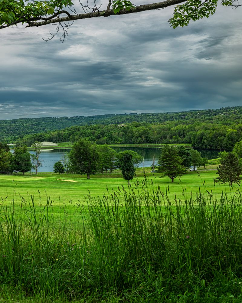Landscape of Roscoe Conkling Park