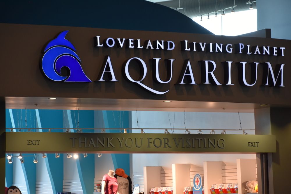 View of Loveland Living Planet Aquarium