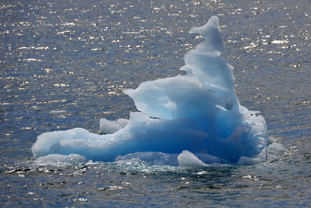 A drift ice at Shoup Bay State Marine Park