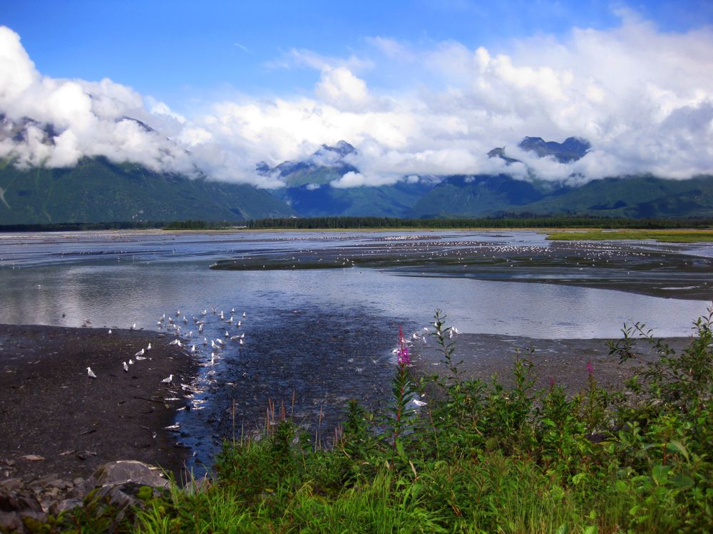The waters of Solomon Gulch Hatchery