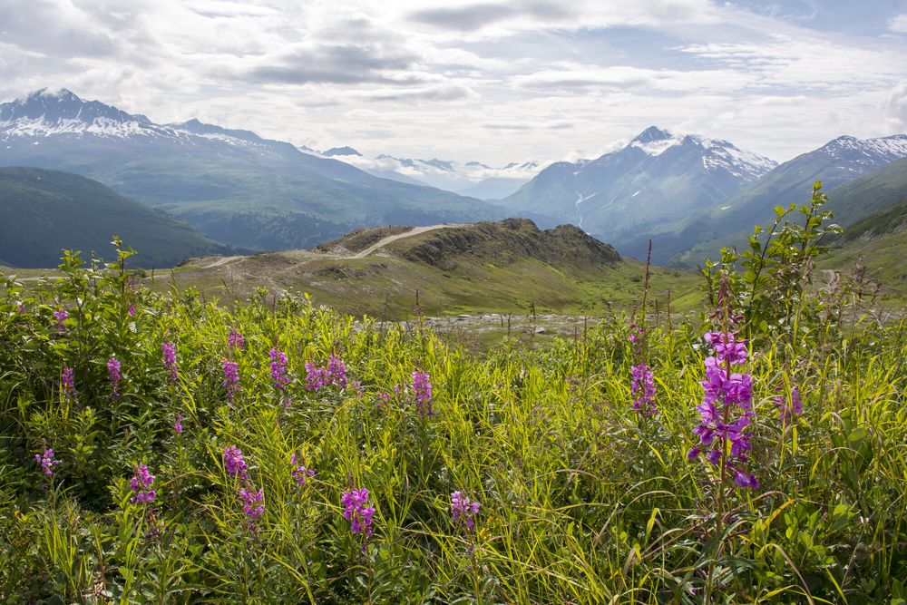 Scenic view of Thompson Pass