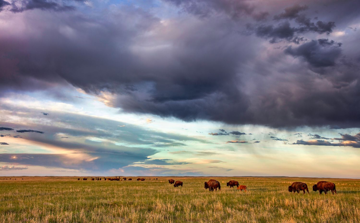 15 Best Things to Do in Valentine, NE Travel Lens