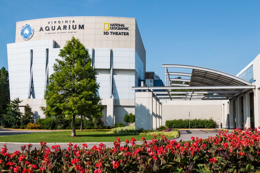 Exterior of the Virginia Aquarium & Marine Science Center