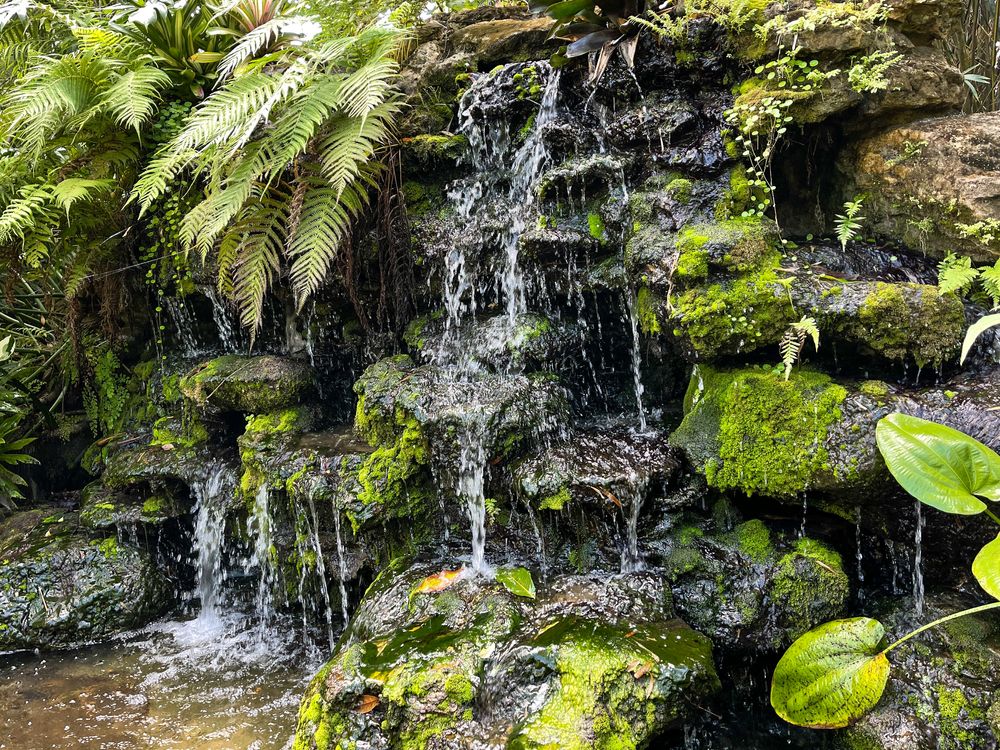 A waterfall at McKee Botanical Gardens