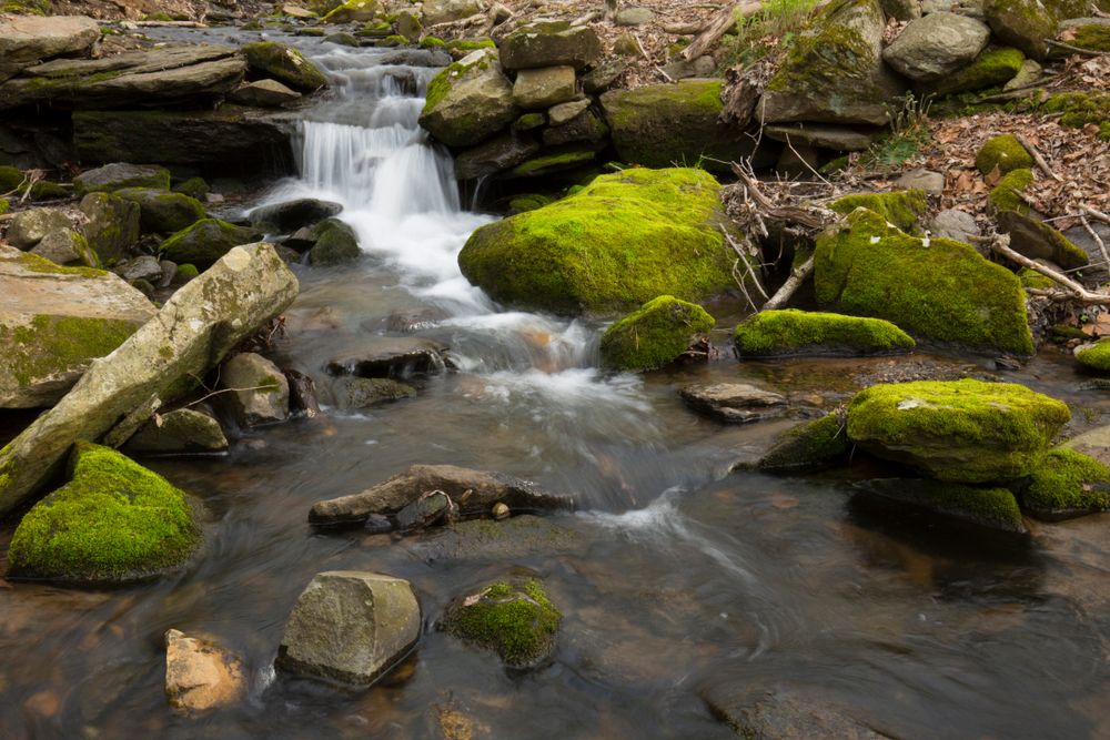 The waters of Belding Wildlife Management Area