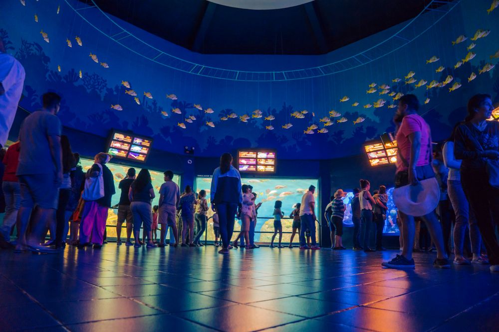 People admiring the Acuario de Veracruz