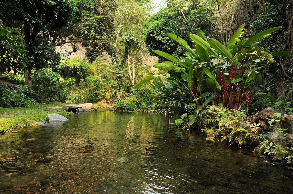 Scenic view of the Catemaco Lake