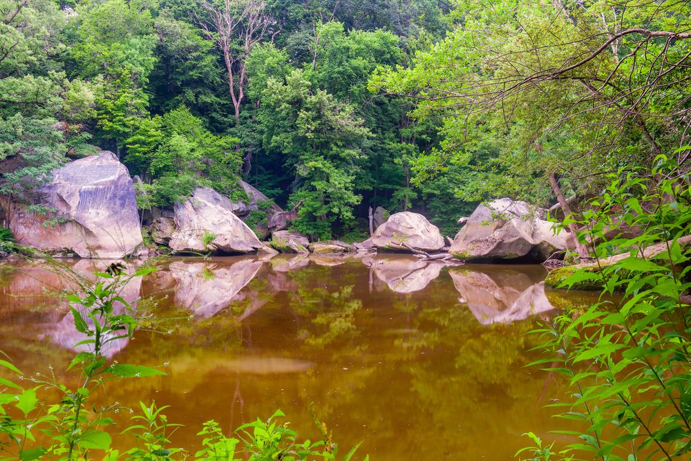 The still waters of black river at Cascade Park