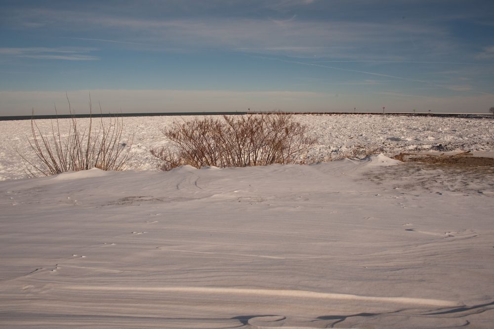 The shore of Main Street Beach