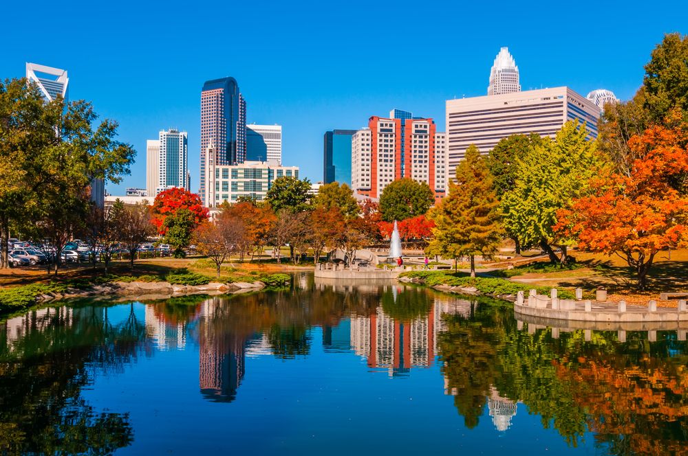 Charlotte during autumn