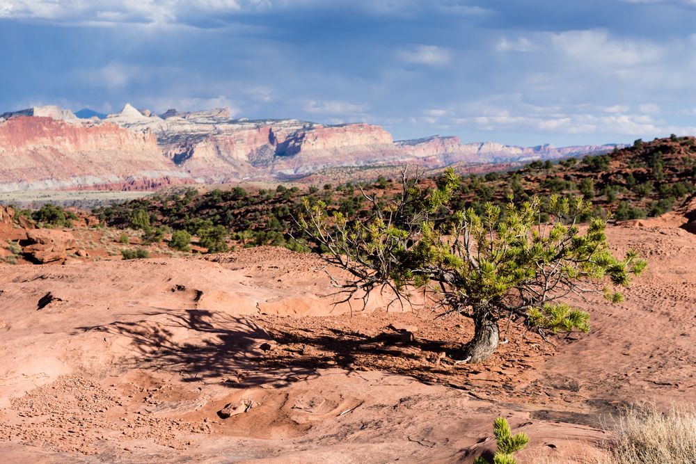 Scenic view from Panorama Point