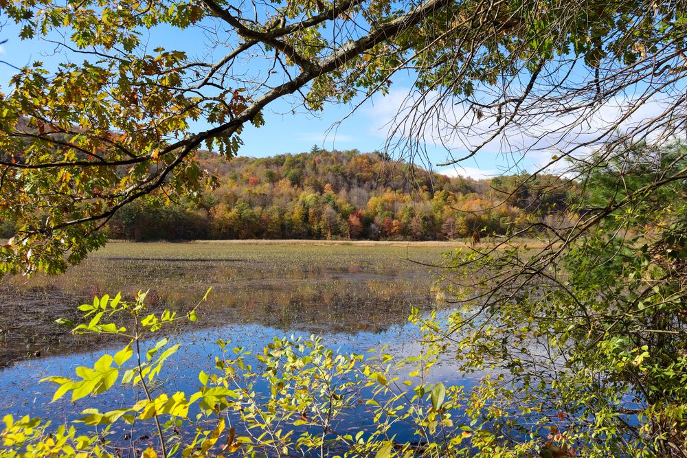 Stunning View of Lake Bomoseen