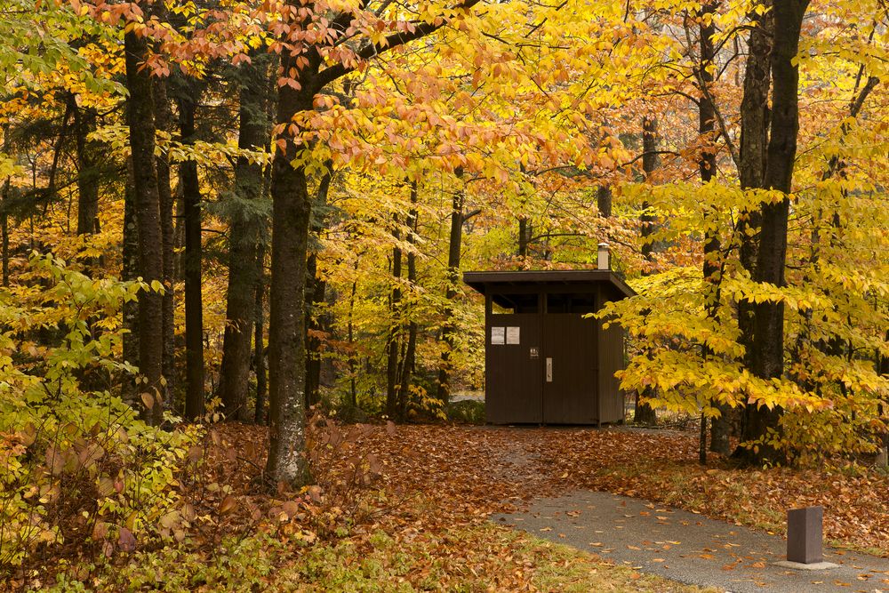 Fall scene at Grafton Notch State Park