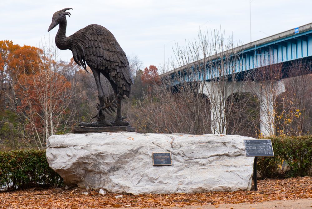 A Hlue Heron Statue in the sidewalk in Riverpark