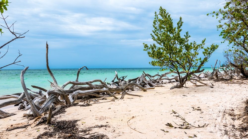 Carribean beach at Cayo Jutias