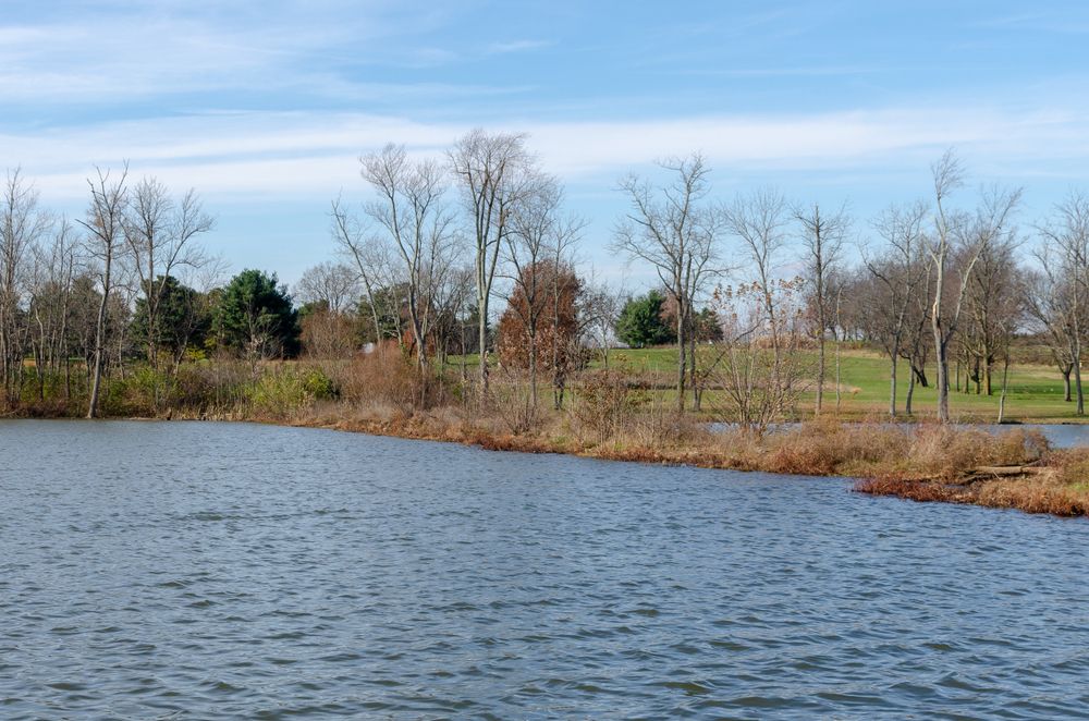 Jacobson Park's lake