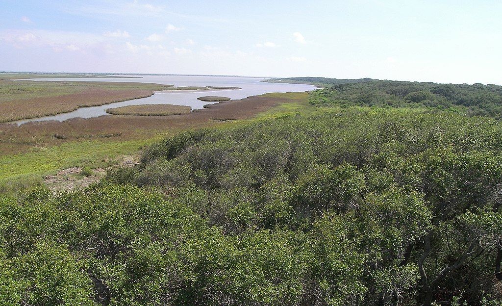 Aerial view of Aransas Wildlife Refuge