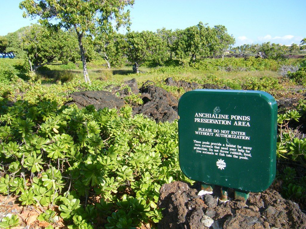 Sign post of Anchialine Pond Preservation Area
