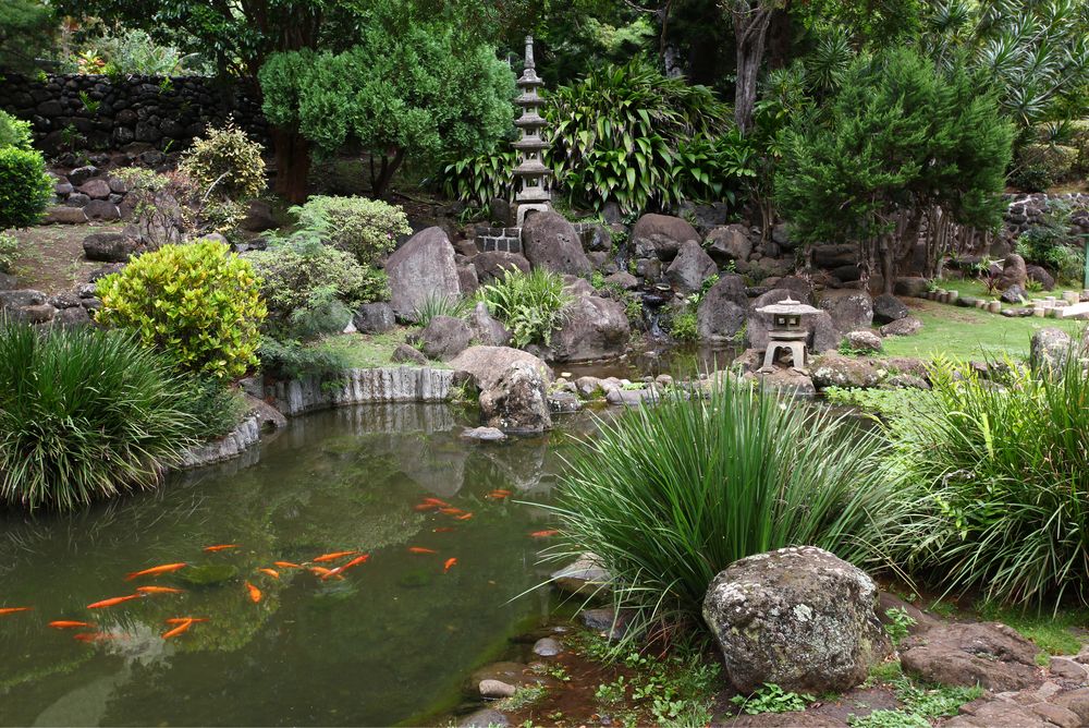 Koi pond at Iao Valley State Park's Japanese garden