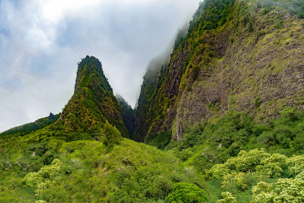 The Iao neddle view from Iao Valley State Park
