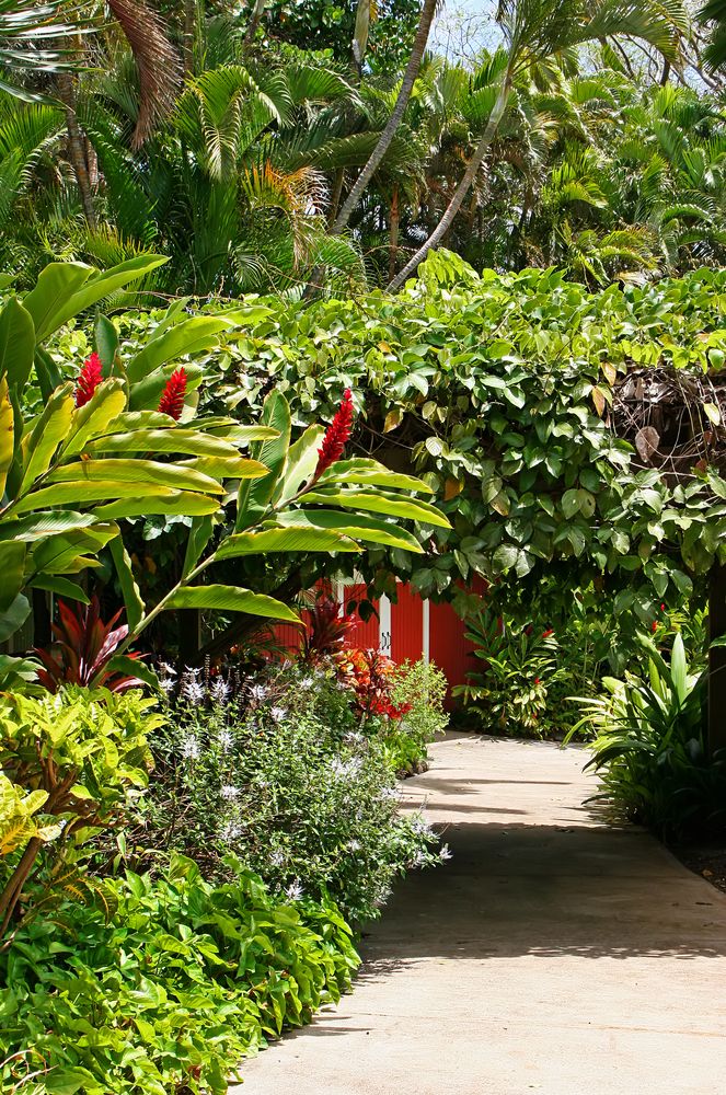 Plants at Maui Tropical Plantation's botanical garden
