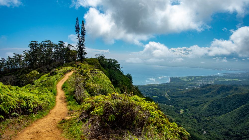 View near the top of Waihe’e Ridge Trail