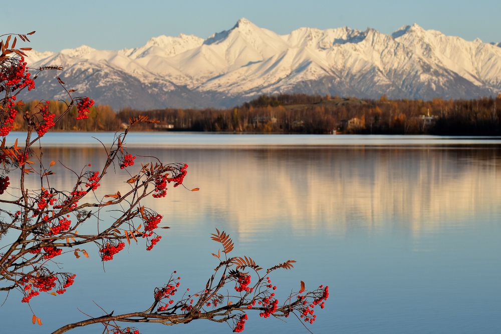 Scenic view of Wasilla Lake