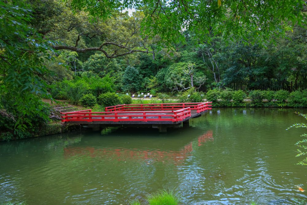 Walk Through the Manyo Botanical Gardens in Nara