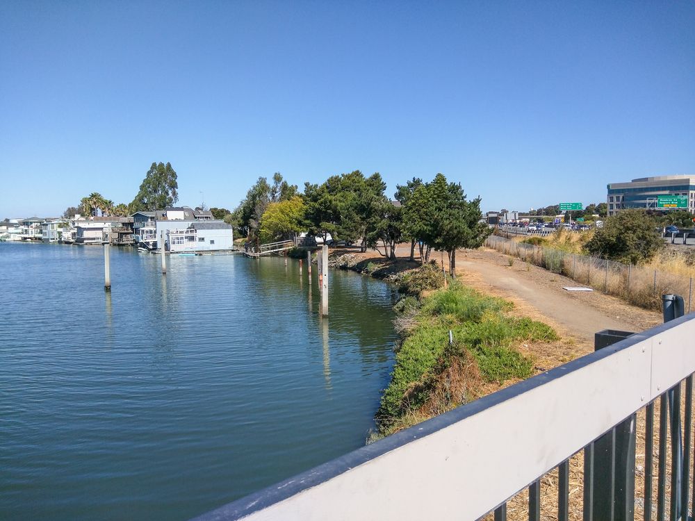 Walking Tour of Bair Island in Redwood City, CA