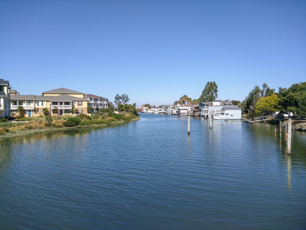 Walking Tour of Bair Island in Redwood City, CA