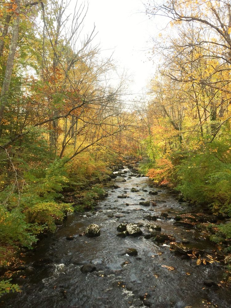 Water rapids of Hop Brook Lake