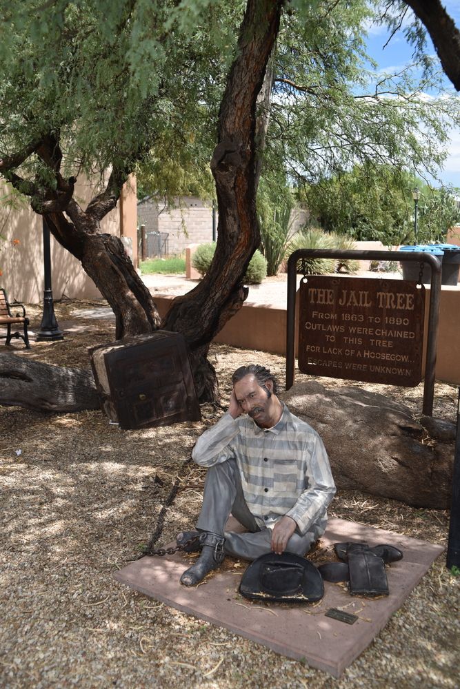 Daytime view of the Jail Tree