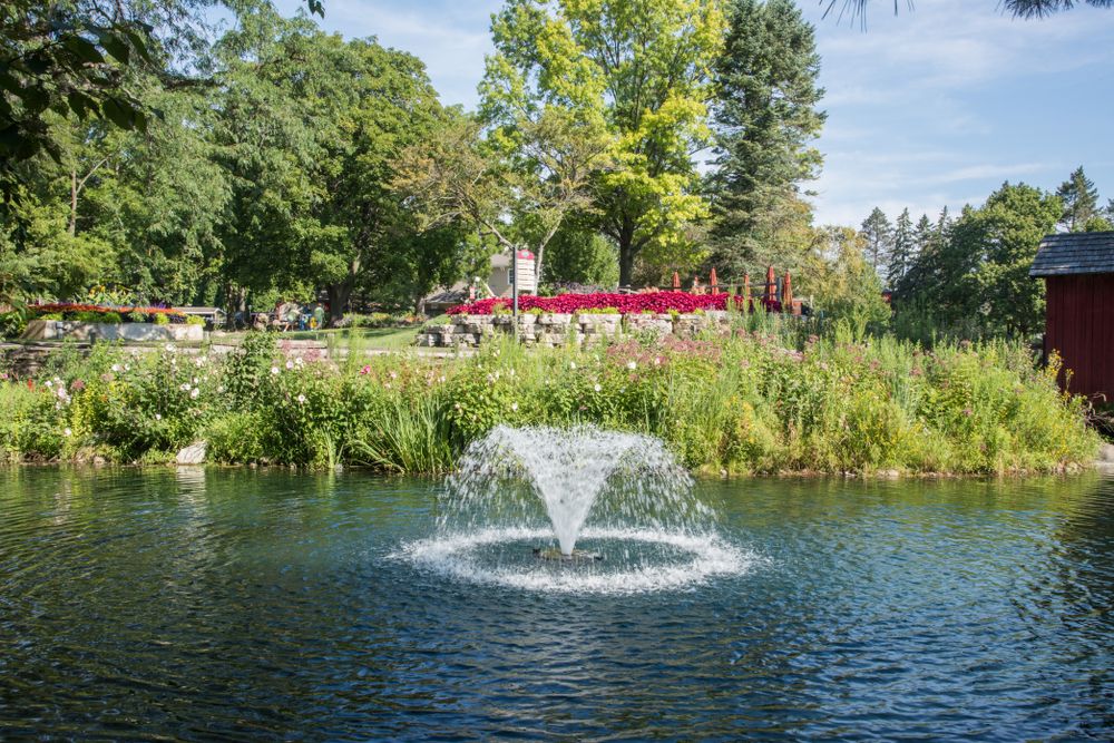 Pond fountain at Blackberry Farm