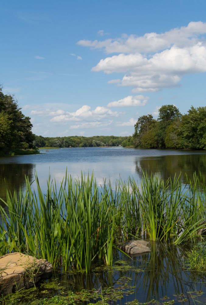 The waters of Channahon State Park
