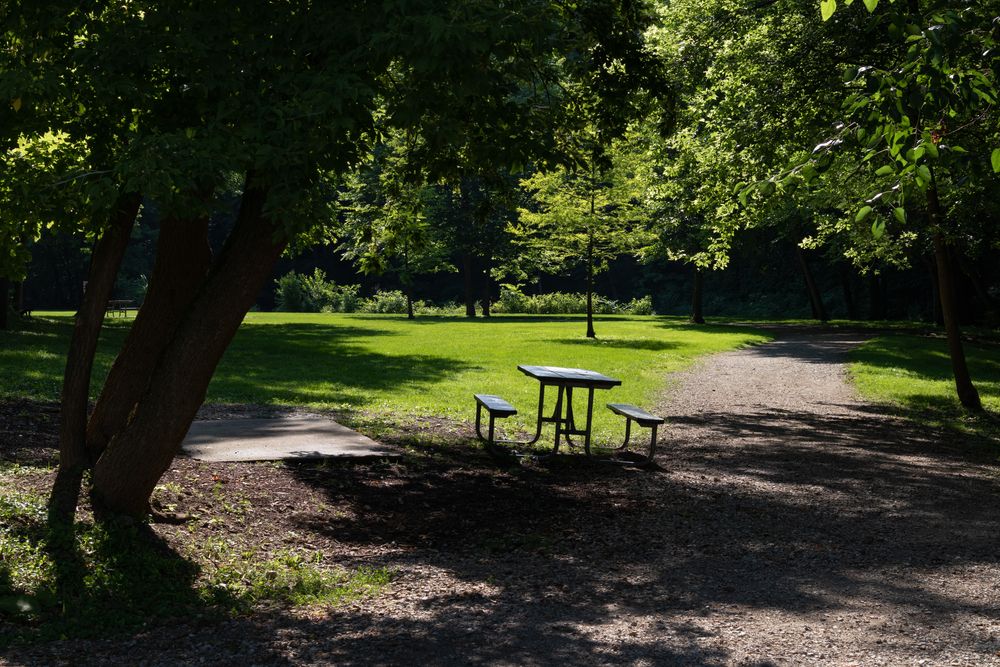 Picnic table at Dellwood Park