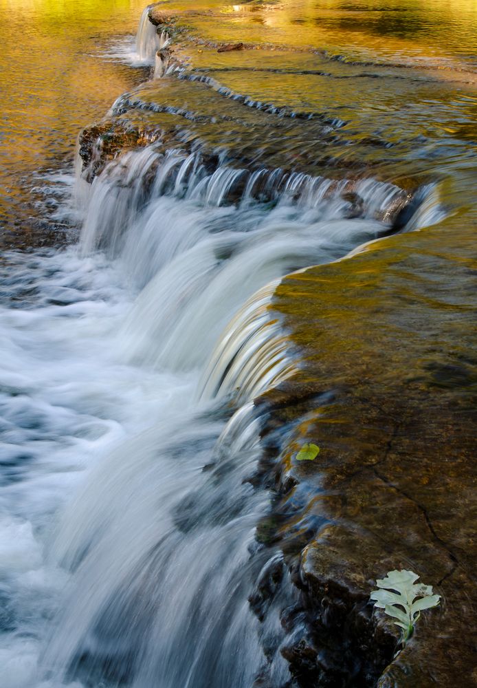 A waterfall at Des Plaines State Fish and Wildlife Area