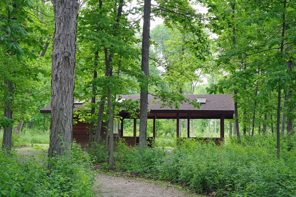Nature scene at Detroit River International Wildlife Refuge
