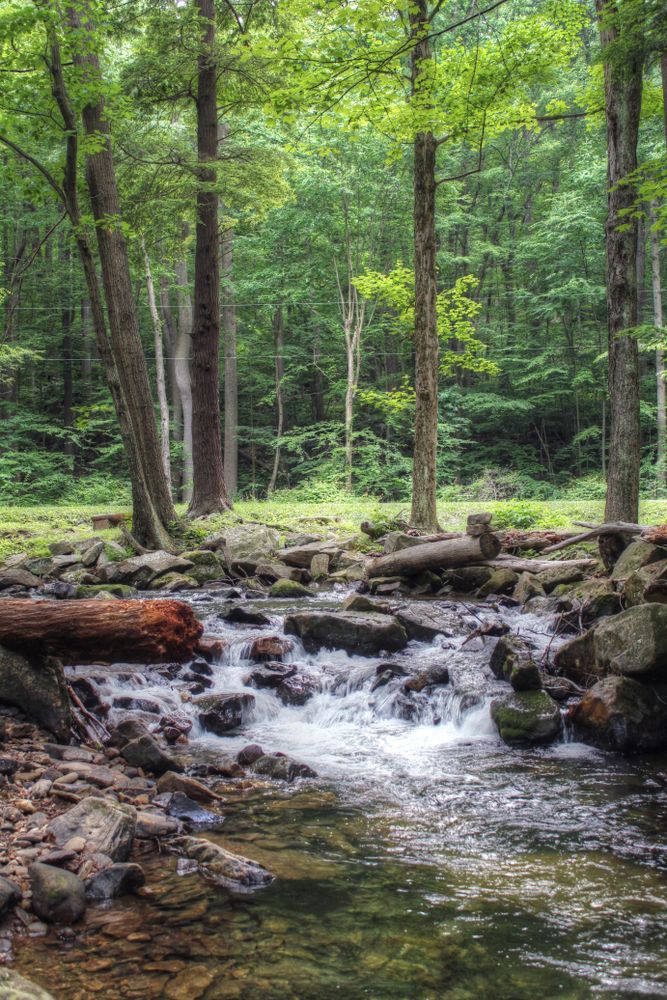 Waters at Linn Run State Park