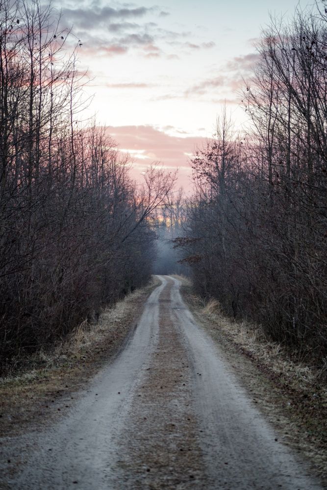 Trail at Occoquan Bay National Wildlife Refuge
