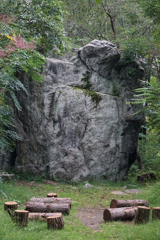 Gneiss rock at Rockefeller State Park Preserve