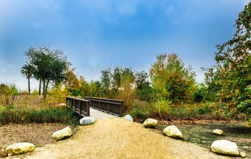 A bridge at Bosque Del Rio Hondo