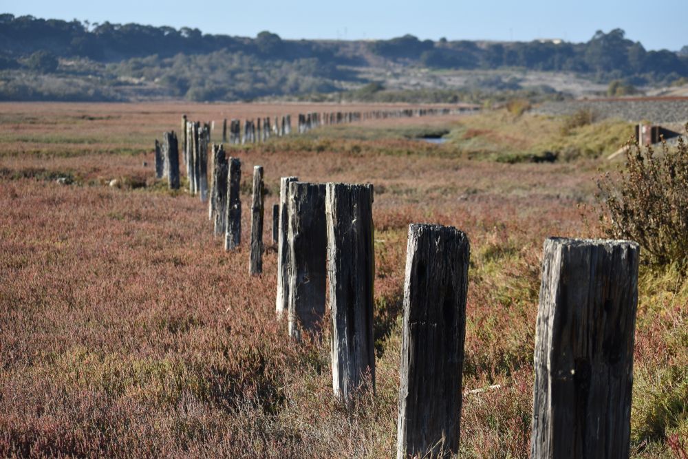 The grounds of Elkhorn Slough National Estuarine Research Reserve