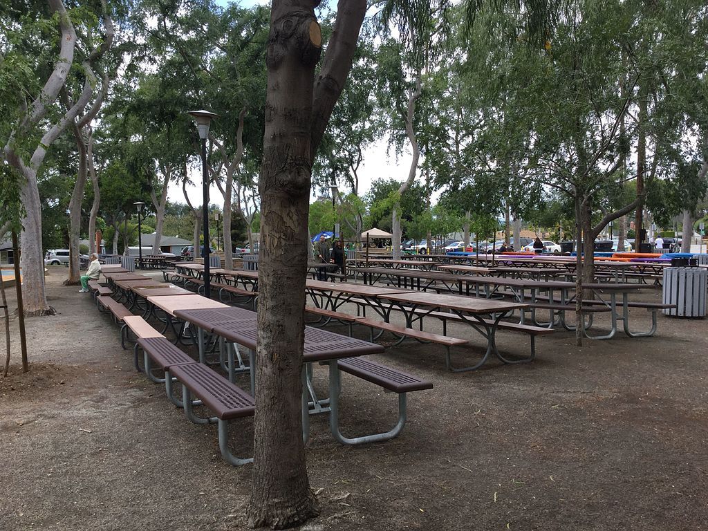Picnic tables at Palm Park