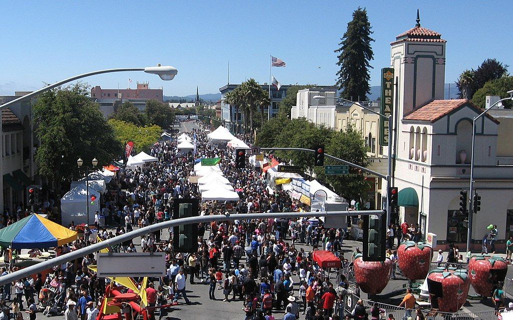 Aerial view of Strawberry Festival
