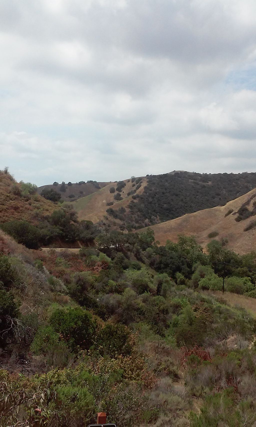 Landscape of Turnbull Canyon