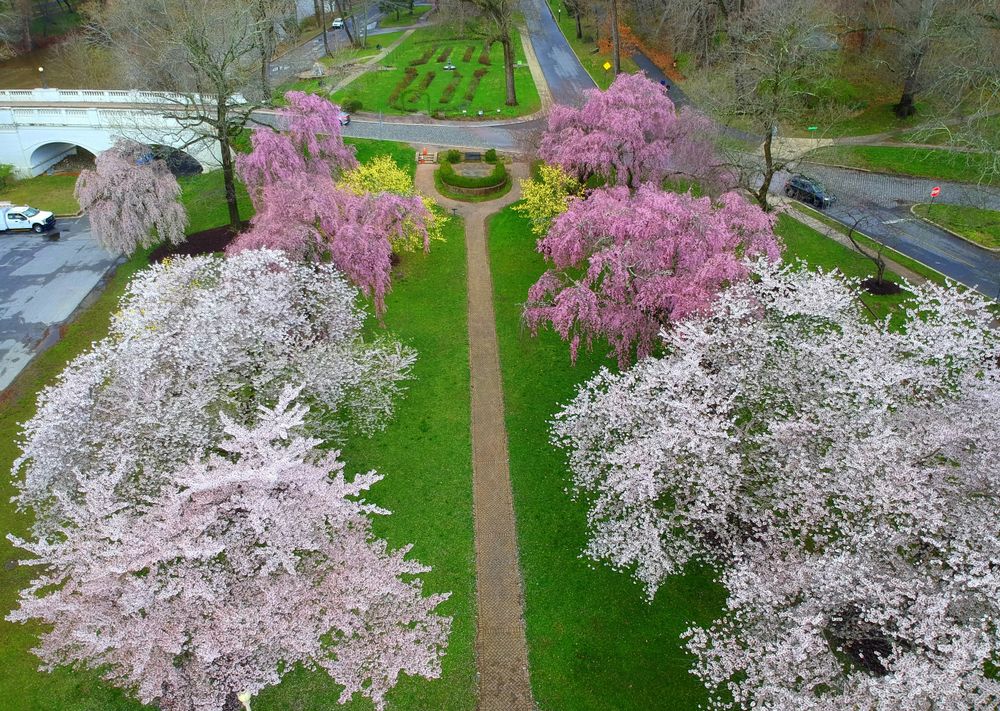Aerial view of Brandywine Park